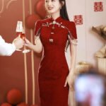 Chinese traditional dress qipao